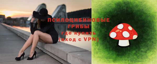 молекула духа Кулебаки