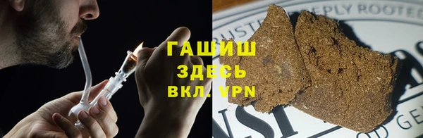 прущие грибы Краснослободск