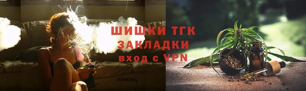 молекула духа Кулебаки