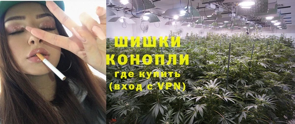 молекула духа Кулебаки