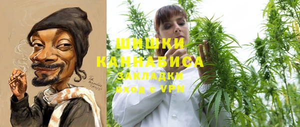 молекула духа Кулебаки