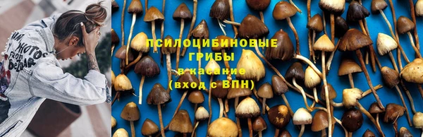 молекула духа Кулебаки