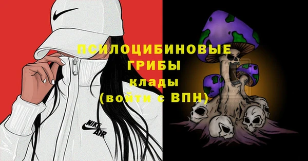 тгк Кукмор