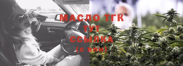 молекула духа Кулебаки
