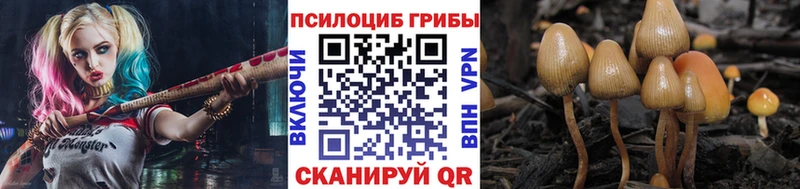 наркота Далматово Галлюциногенные грибы мухоморы